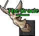 The Oracle.gif