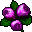 Pink Herb.png
