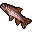 File:Rainbow Trout.png