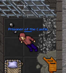 Prisoner castle.png