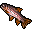 File:Rainbow Trout.gif