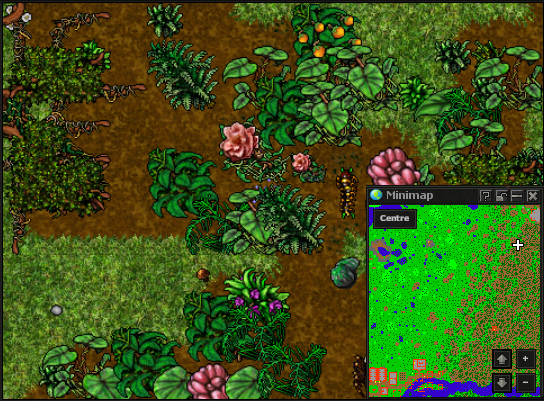 The Explorer Society Quest - Tibia Wiki