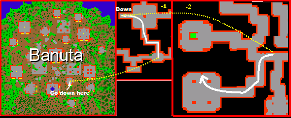 The Explorer Society Quest - Tibia Wiki