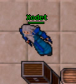 Xodet.png